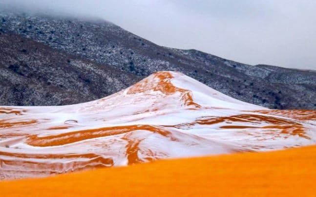 Χιόνι στην Σαχάρα έπειτα από 40 χρόνια (Photo)