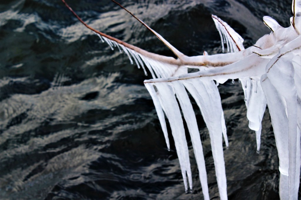 «Στολίδια» από πάγο στην λίμνη της Καστοριάς (Photos)