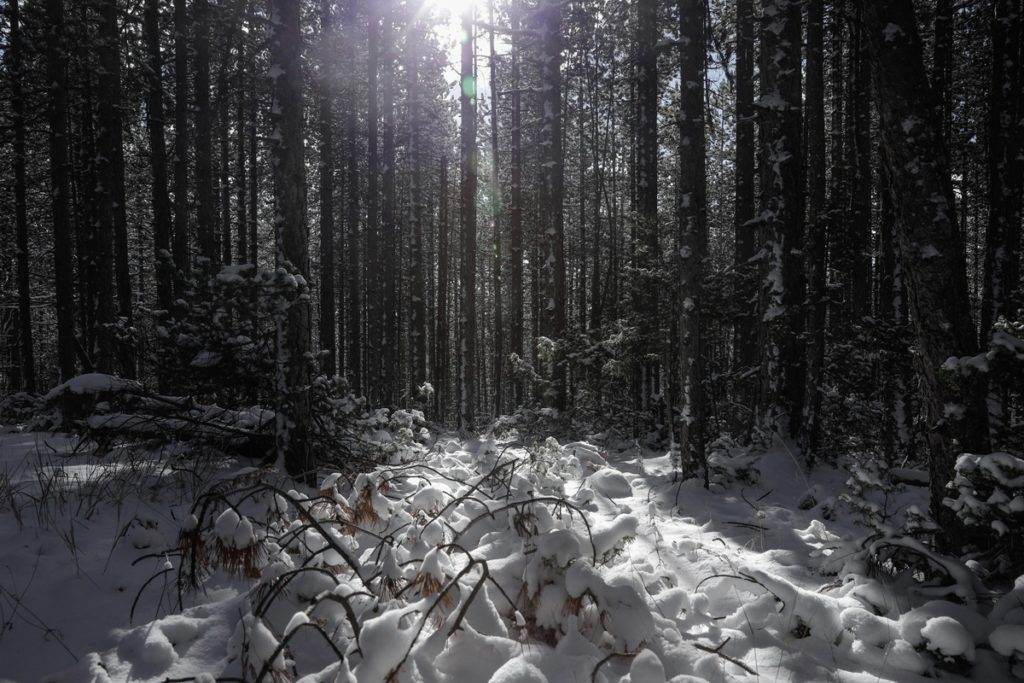 Ξεκινάει η επέλαση της «Αριάδνης» –Χιόνια και θερμοκρασίες κάτω από το μηδέν