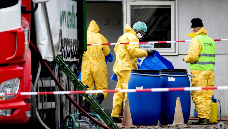 Γαλλία: Χιλιάδες πάπιες θανατώθηκαν έπειτα από κρούσματα γρίπης των πτηνών