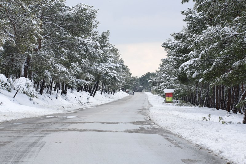 Συνεργεία απεγκλώβισαν 8 εκδρομείς στα ορεινά της Λέσβου