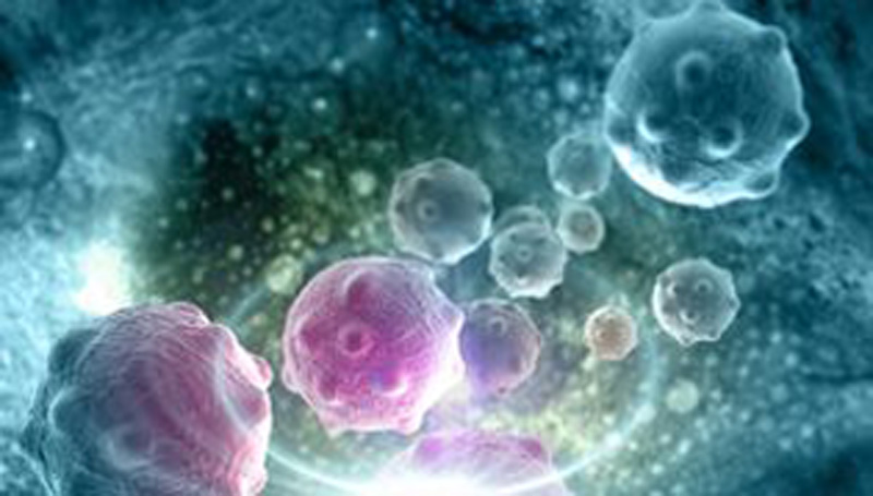 Θεραπεία Καρκίνου: Γονίδια που «φρενάρουν» την εξάπλωση όγκων εντόπισαν Βρετανοί ερευνητές