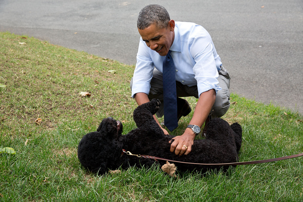 ΗΠΑ: Η σκυλίτσα των Ομπάμα δάγκωσε επισκέπτρια που θέλησε να την χαϊδέψει