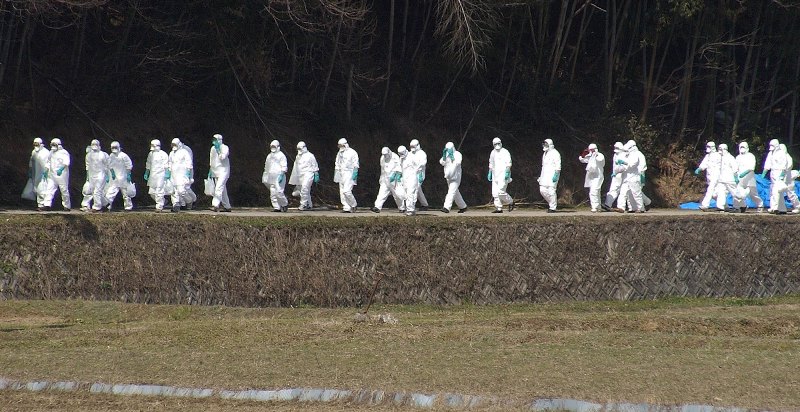 Ιαπωνία: Σφαγιάστηκαν 80.000 πουλερικά λόγω της γρίπης