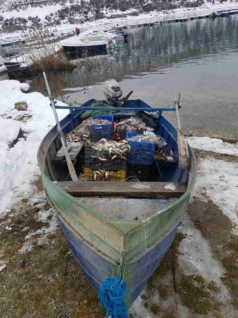 Λίμνη Μεγάλης Πρέσπας: Ψάρεψαν παράνομα 210 κιλά ψάρια