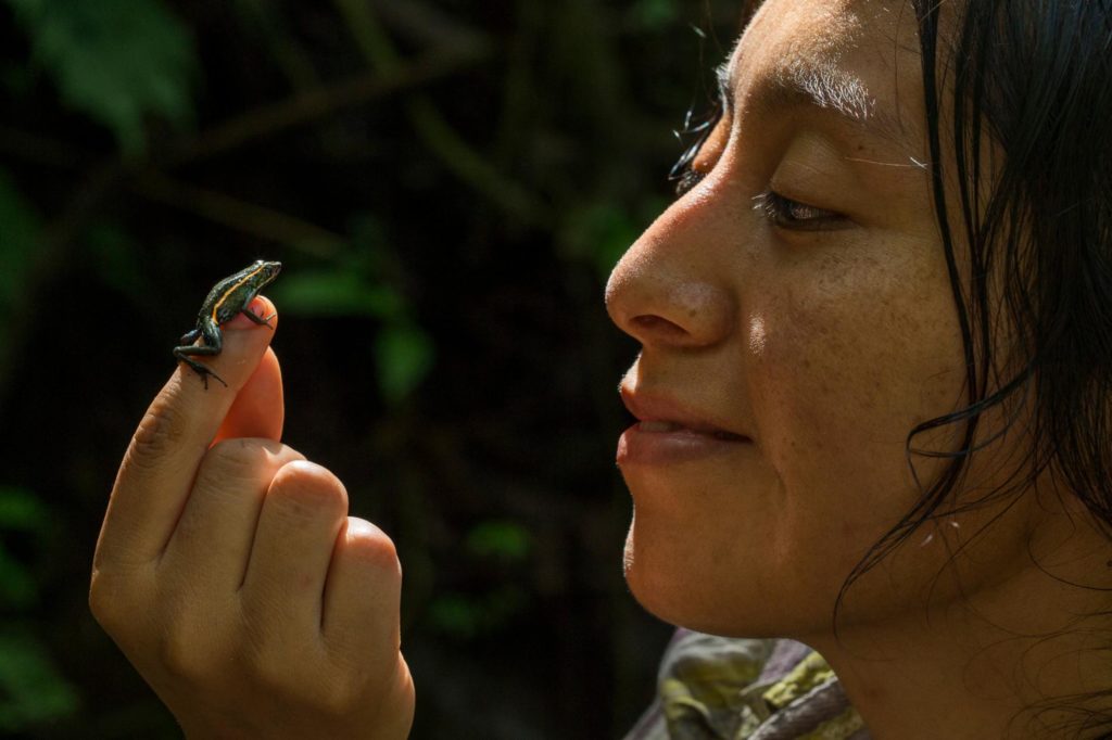 Περού: Ανακάλυψαν νέο είδος δηλητηριώδους βατράχου (Photos)