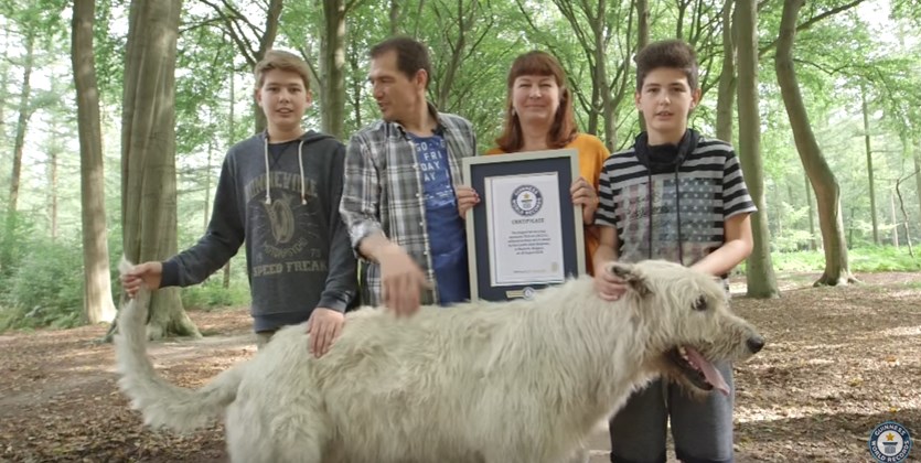 Ρεκόρ Γκίνες για το σκυλί με την πιο μακριά ουρά στον κόσμο! (Video)