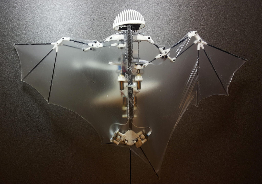 Δημιουργήθηκε το πρώτο ρομπότ-νυχτερίδα! (Video)