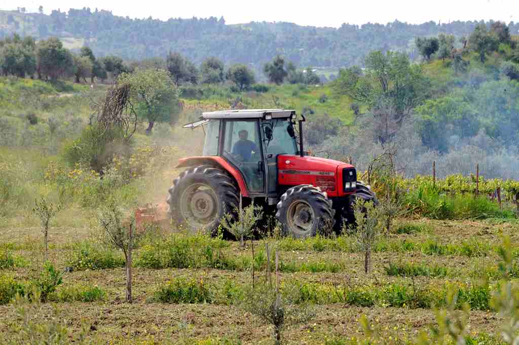 Αποστόλου: Μειώνεται στο 13% το ΦΠΑ για τους αγρότες