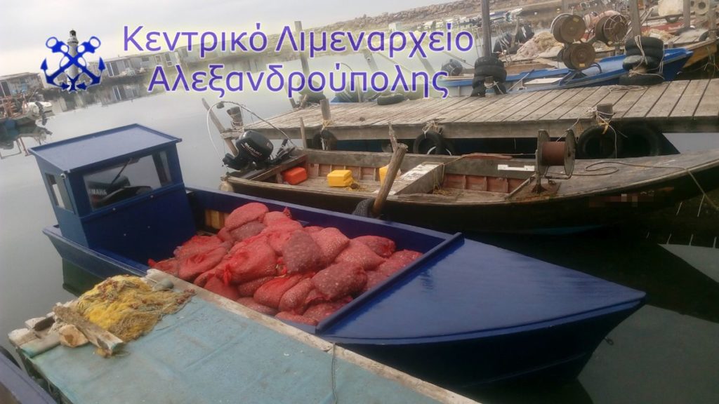 Αλεξανδρούπολη: Συλλήψεις – Πήγαν να ρίξουν στην Αγορά τρεις τόνους ακατάλληλα όστρακα