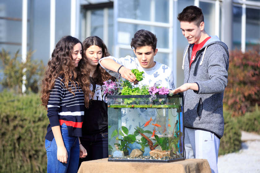 Θεσσαλονίκη: Μαθητές καλλιεργούν λαχανικά χρησιμοποιώντας απόβλητα ψαριών! (Photos)