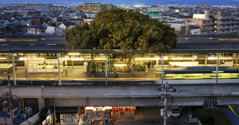 Ιαπωνία: Ένας σταθμός τρένου γύρω από ένα δέντρο 700 ετών (Photos)