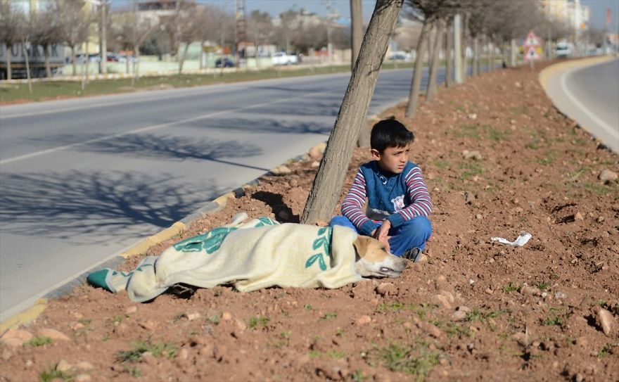 Απίστευτα συγκινητική ιστορία! 8χρονος στερήθηκε την κουβέρτα του για χάρη ενός ετοιμοθάνατου σκύλου