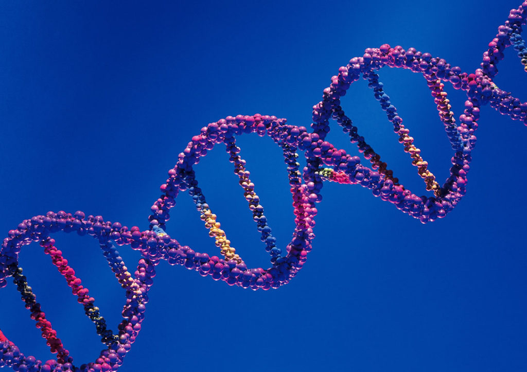 Βιολόγοι φιλοδοξούν να «διαβάσουν» το DNA της ζωής πάνω στη Γη!