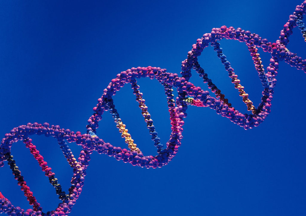 Βιολόγοι φιλοδοξούν να «διαβάσουν» το DNA της ζωής πάνω στη Γη!