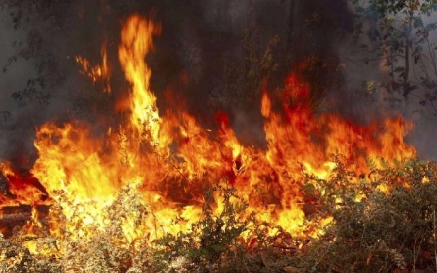 Κάρπαθος: Κάηκε ζωντανός στην προσπάθειά του να κάψει κλαδιά