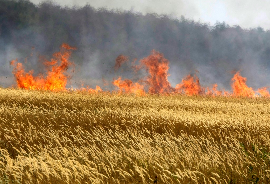 Η Τουρκία πιέζει τη Μόσχα με απαγορευτικούς δασμούς στα σιτηρά!