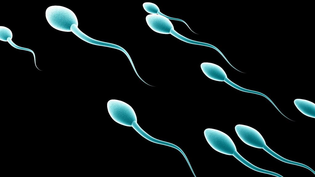Έρευνα: Πώς επηρεάζεται το σπέρμα από τις εποχές του χρόνου