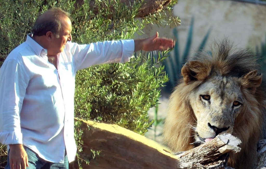 Δημήτρης Καμπουράκης: Το κρητικό λιοντάρι που θα ήθελε να ήταν Αλιάγας και Τατιάνα