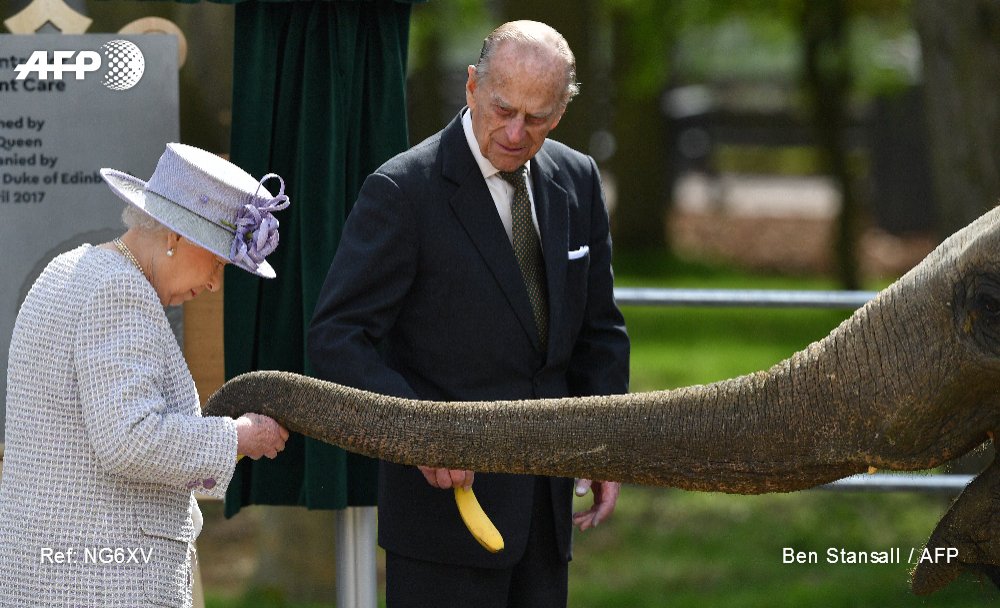 Βρετανία: Ελέφαντας τρώει από το χέρι της βασίλισσας Ελισάβετ