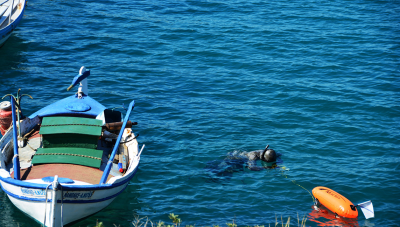 Ψάρεψαν γιγάντιο καρχαρία «αλέτρι» στον Αστακό (photo)