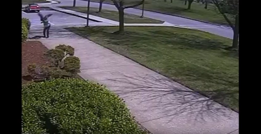 Ξεκαρδιστικό βίντεο: Αστυνομικός τα βάζει με χήνα και… χάνει μεγαλοπρεπώς! (Video)