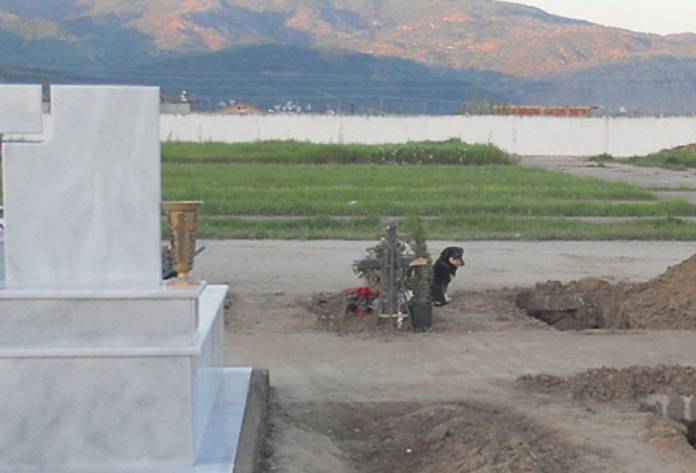 Ξάνθη: Σκύλος κοιμάται εδώ και μια βδομάδα πάνω από τον τάφο του αφεντικού του (Photos)
