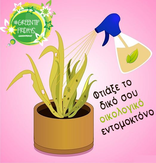 Σπιτικό εντομοκτόνο – Τρεις λύσεις για να σώσετε τα φυτά σας χωρίς κινδύνους για παιδιά και κατοικίδια