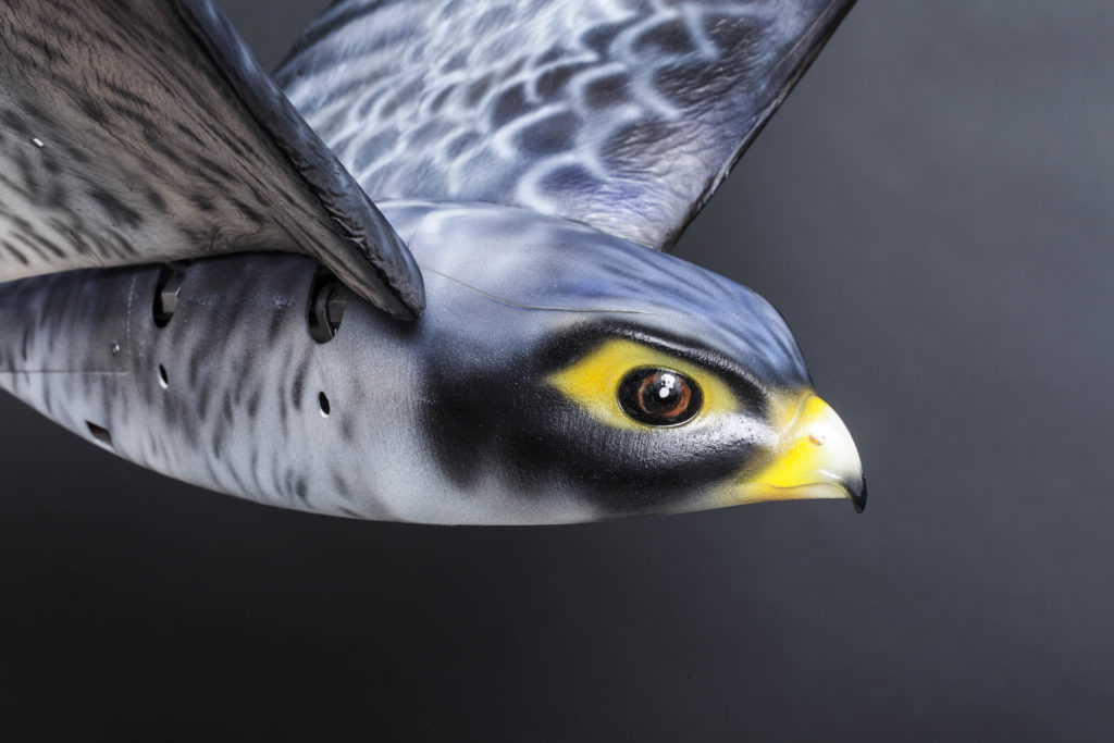 Robird – To πουλί-ρομπότ που θα διώχνει τα πουλιά από τα αεροδρόμια (Video)