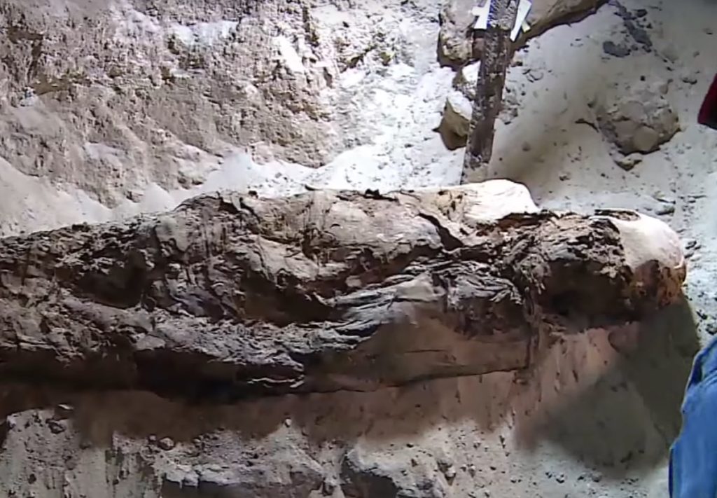 Αίγυπτος: 17 μούμιες ανακάλυψαν αρχαιολόγοι (Video)