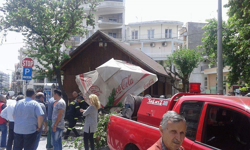 Δέντρο έπεσε σε πιάτσα ταξί στην Ξάνθη (Photos)