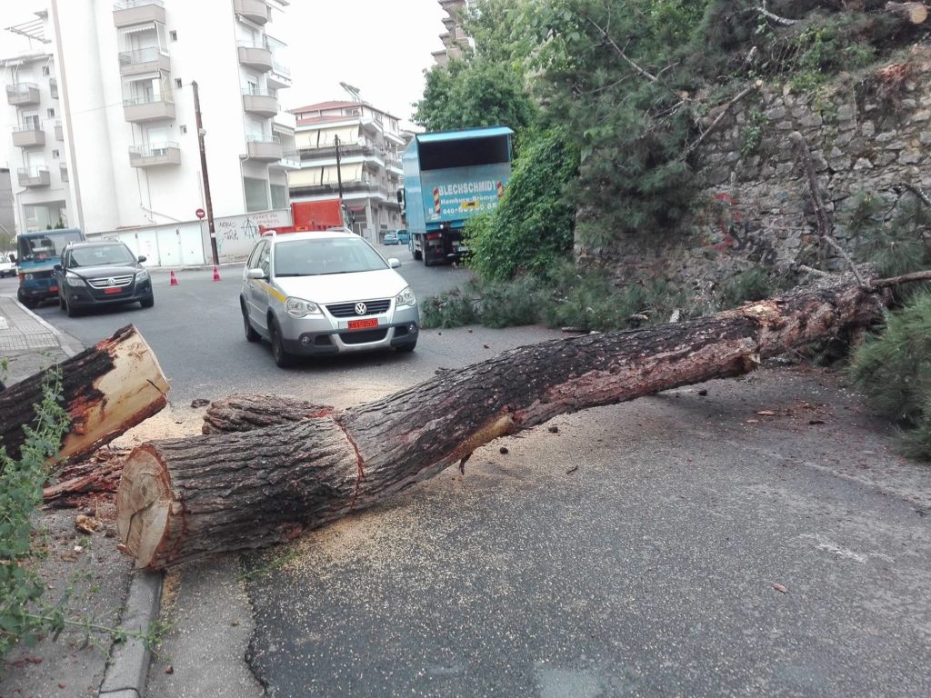 Κοζάνη: Χαλάζι και καταστροφές από την κακοκαιρία (Video)