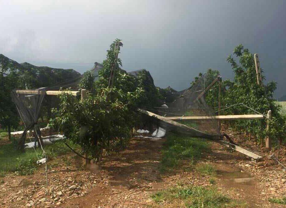 Εορδαία: Καταστράφηκαν οι κόποι μιας χρονιάς από το χαλάζι (Video)