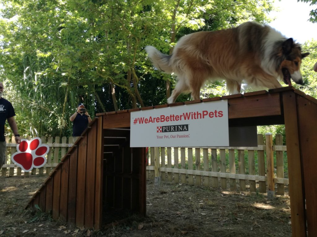 1ο Σαββατοκύριακο #WeAreBetterWithPets από τη Nestlé Purina και την Costa Navarino