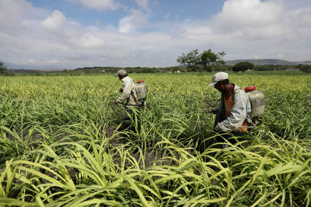Ο Τραμπ «λυγίζει» το Μεξικό στις εισαγωγές ζάχαρης
