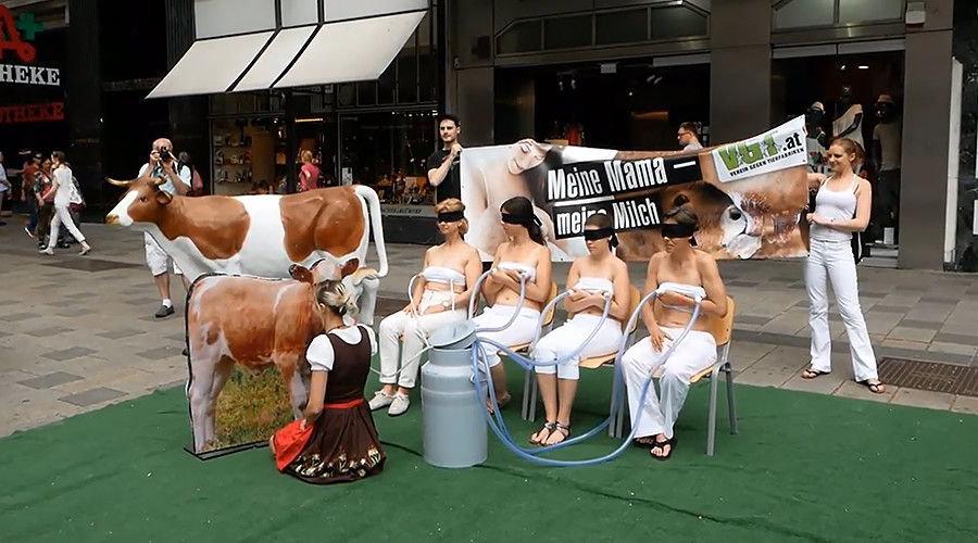 Έκατσαν να τις… αρμέξουν υπερασπιζόμενες τις αγελάδες (Video)