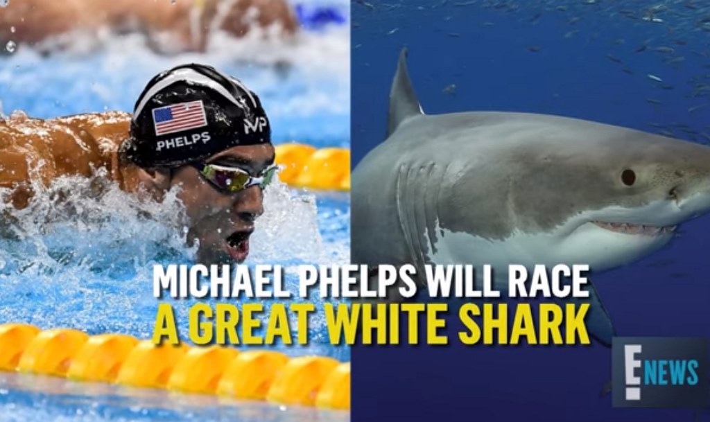 Φελπς εναντίον …λευκού καρχαρία (video)