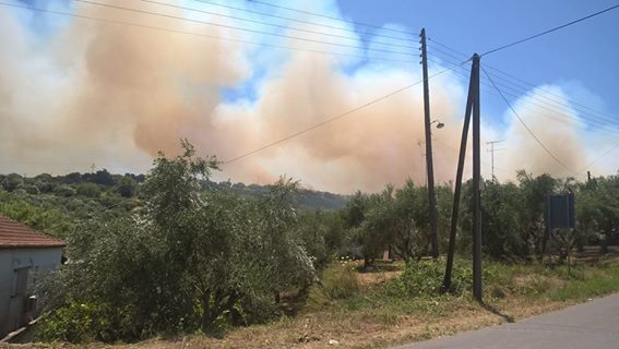 Σε πύρινο κλοιό η Κορώνη – Κινδύνευσαν σπίτια (Photos)