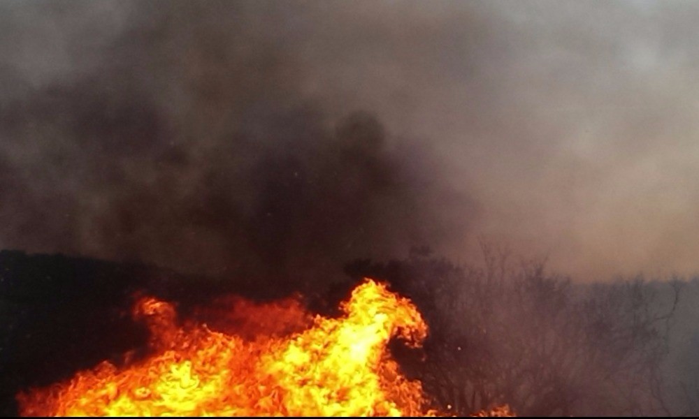 Σε ύφεση οι πυρκαγιές σε Ροδόπη και Ανατολική Μάνη