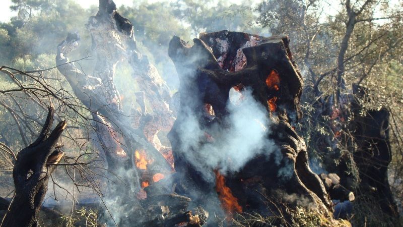 Κέρκυρα: Πυρκαγιά στον Χαλικούνα – Ξέσπασε το μεσημέρι