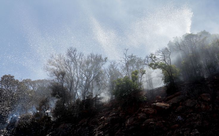 Υπό έλεγχο και σε ύφεση η πυρκαγιά στην Ανατολική Μάνη