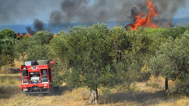 Υπό μερικό έλεγχο η πυρκαγιά στον Ωρωπό