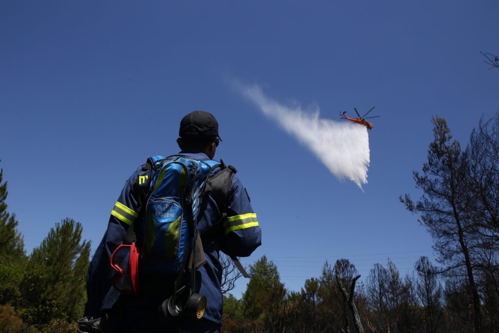 Υπό έλεγχο η φωτιά στο Κρυονέρι – Στάχτη δασική έκταση στους πρόποδες της Πάρνηθας (Photos)