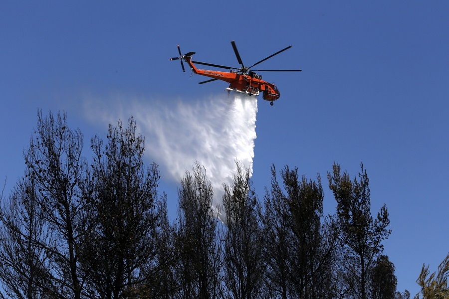 Πυρκαγιά σε δάσος στη Λούτσα – Δεν κινδυνεύουν κατοικίες