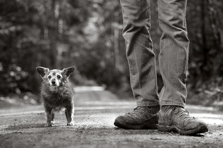 Η φωτογράφος που απαθανατίζει τα γέρικα σκυλιά (Photos)