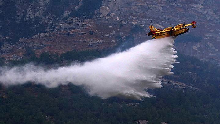 Υπό έλεγχο η πυρκαγιά στο παραποτάμιο δάσος του Νέστου