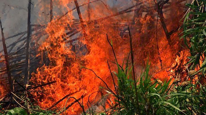 Μεγάλη πυρκαγιά στη Σητεία – Δύσκολη η κατάσβεση λόγω ισχυρών ανέμων