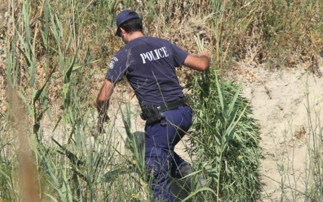 Κοζάνη: Συνελήφθησαν την ώρα που πότιζαν 74 χασισόδεντρα