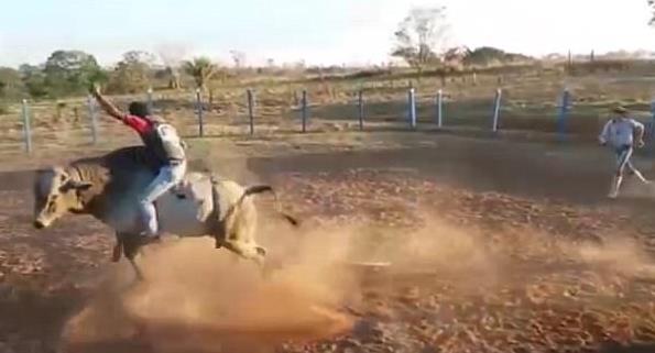 Ταύρος ποδοπάτησε και σκότωσε επίδοξο «καβαλάρη» ταύρων (Video)