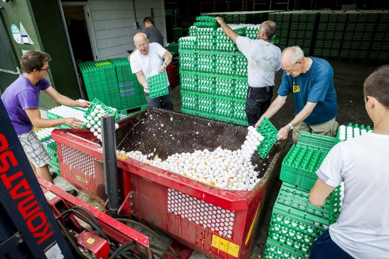 Ανησυχία στη Γερμανία: Φόβοι πως έχουν εισαχθεί 28 εκατ. μολυσμένα αυγά